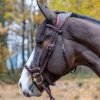 ogłowie-anatomiczne-antares-skórzane-precision-y-noseband-sklep-jeździecki